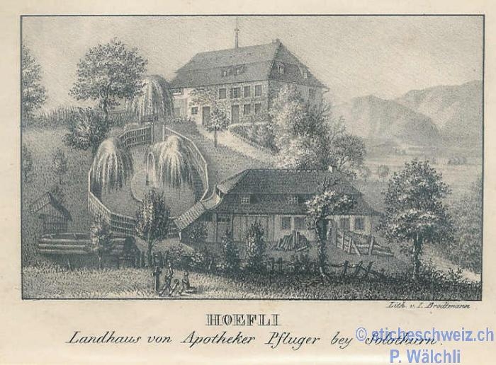 <p>Höfli, Landhaus von Apotheker Pfluger Anton , weisse Laus, alte Bernstrasse , rarer Stich</p>